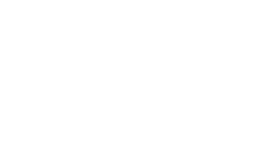 Petter Toys